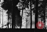 Image of burning gusher Gladewater Texas USA, 1931, second 52 stock footage video 65675070438
