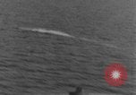 Image of navy demonstration Pacific Ocean, 1931, second 23 stock footage video 65675070444