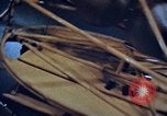 Image of John Herschel Glenn United States USA, 1963, second 39 stock footage video 65675070448