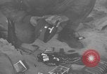 Image La société allemande siège storm troopers Düsseldorf Allemagne, 1945, de la seconde 62 séquences d'archives historiques vidéo 65675070467
