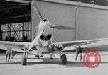 Image of New Curtiss P-40 aircraft Buffalo New York  United States USA, 1942, second 33 stock footage video 65675070471