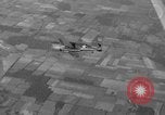 Immagine di P-40 Tomahawk aeromobile Buffalo New York  United States USA, 1942, secondo 37 filmato di repertorio 65675070475