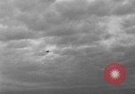 Image P-40 Tomahawk avions champ buzz Buffalo New York  United States USA, 1942, de la seconde 3 séquences d'archives historiques vidéo 65675070476