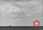 Image P-40 Tomahawk avions champ buzz Buffalo New York  United States USA, 1942, de la seconde 53 séquences d'archives historiques vidéo 65675070476