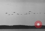 Image Curtiss P-40 Tomahawk aéronefs United States USA, 1942, de la seconde 49 séquences d'archives historiques vidéo 65675070477