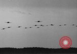 Image Curtiss P-40 Tomahawk aéronefs United States USA, 1942, de la seconde 50 séquences d'archives historiques vidéo 65675070477