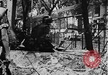 Image of Tet Offensive Saigon Vietnam, 1968, second 19 stock footage video 65675070503