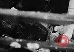 Image of Tet Offensive Saigon Vietnam, 1968, second 29 stock footage video 65675070503