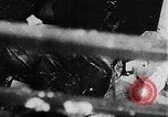 Image of Tet Offensive Saigon Vietnam, 1968, second 30 stock footage video 65675070503