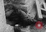 Image of Tet Offensive Saigon Vietnam, 1968, second 4 stock footage video 65675070507