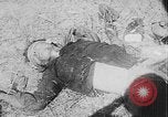 Image of Tet Offensive Saigon Vietnam, 1968, second 5 stock footage video 65675070507