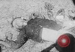 Image of Tet Offensive Saigon Vietnam, 1968, second 6 stock footage video 65675070507