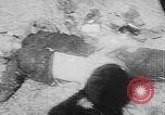 Image of Tet Offensive Saigon Vietnam, 1968, second 7 stock footage video 65675070507