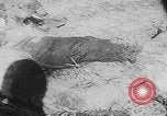 Image of Tet Offensive Saigon Vietnam, 1968, second 8 stock footage video 65675070507