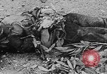 Image of Tet Offensive Saigon Vietnam, 1968, second 14 stock footage video 65675070507
