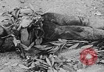 Image of Tet Offensive Saigon Vietnam, 1968, second 15 stock footage video 65675070507