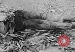 Image of Tet Offensive Saigon Vietnam, 1968, second 16 stock footage video 65675070507