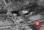 Image of Tet Offensive Saigon Vietnam, 1968, second 19 stock footage video 65675070507