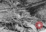 Image of Tet Offensive Saigon Vietnam, 1968, second 21 stock footage video 65675070507