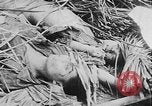Image of Tet Offensive Saigon Vietnam, 1968, second 24 stock footage video 65675070507