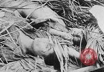 Image of Tet Offensive Saigon Vietnam, 1968, second 25 stock footage video 65675070507