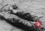 Image of Tet Offensive Saigon Vietnam, 1968, second 27 stock footage video 65675070507