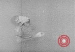 Image of Tet Offensive Saigon Vietnam, 1968, second 36 stock footage video 65675070507