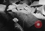Image of Tet Offensive Saigon Vietnam, 1968, second 53 stock footage video 65675070507
