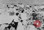 Image of Tet Offensive Saigon Vietnam, 1968, second 57 stock footage video 65675070508