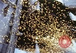 Image of space shuttle United States USA, 1982, second 33 stock footage video 65675070510