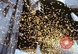 Image of space shuttle United States USA, 1982, second 38 stock footage video 65675070510