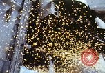 Image of space shuttle United States USA, 1982, second 40 stock footage video 65675070510
