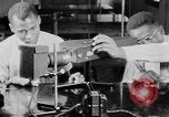 Image of Science education for African Americans New Orleans Louisiana USA, 1940, second 47 stock footage video 65675070514