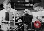 Image of Science education for African Americans New Orleans Louisiana USA, 1940, second 49 stock footage video 65675070514