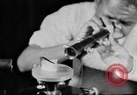 Image of Science education for African Americans New Orleans Louisiana USA, 1940, second 56 stock footage video 65675070514