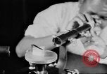 Image of Science education for African Americans New Orleans Louisiana USA, 1940, second 57 stock footage video 65675070514