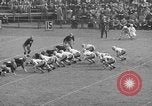 Image of Army versus Notre Dame football New York City USA, 1938, second 37 stock footage video 65675070526
