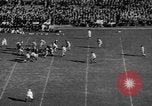 Image of College football Pittsburgh versus Fordham Pittsburgh Pennsylvania USA, 1938, second 5 stock footage video 65675070527