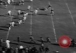 Image of College football Pittsburgh versus Fordham Pittsburgh Pennsylvania USA, 1938, second 10 stock footage video 65675070527