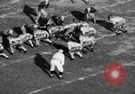 Image of College football Pittsburgh versus Fordham Pittsburgh Pennsylvania USA, 1938, second 35 stock footage video 65675070527