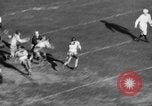 Image of College football Pittsburgh versus Fordham Pittsburgh Pennsylvania USA, 1938, second 38 stock footage video 65675070527