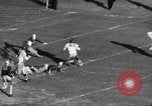 Image of College football Pittsburgh versus Fordham Pittsburgh Pennsylvania USA, 1938, second 39 stock footage video 65675070527