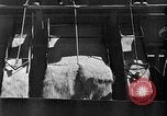Standbild Industrielle Anbaumethoden United States USA, 1946, aus Sekunde 22 historischem Filmmaterial Videoclip 65675070531