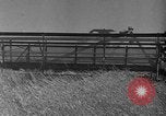 Standbild Industrielle Anbaumethoden United States USA, 1946, aus Sekunde 33 historischem Filmmaterial Videoclip 65675070531