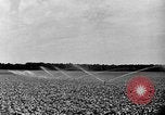 Standbild Industrielle Anbaumethoden United States USA, 1946, aus Sekunde 61 historischem Filmmaterial Videoclip 65675070531
