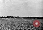 Standbild Industrielle Anbaumethoden United States USA, 1946, aus Sekunde 62 historischem Filmmaterial Videoclip 65675070531