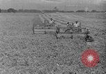 Standbild Konserven und Einfrieren von Lebensmitteln in den 1940er Jahren auf Seabrook Farms New Jersey United States USA, 1946, aus Sekunde 1 historischem Filmmaterial Videoclip 65675070532