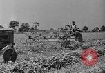 Standbild Konserven und Einfrieren von Lebensmitteln in den 1940er Jahren auf Seabrook Farms New Jersey United States USA, 1946, aus Sekunde 5 historischem Filmmaterial Videoclip 65675070532
