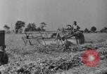 Standbild Konserven und Einfrieren von Lebensmitteln in den 1940er Jahren auf Seabrook Farms New Jersey United States USA, 1946, aus Sekunde 6 historischem Filmmaterial Videoclip 65675070532