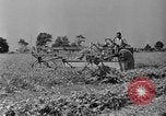 Standbild Konserven und Einfrieren von Lebensmitteln in den 1940er Jahren auf Seabrook Farms New Jersey United States USA, 1946, aus Sekunde 7 historischem Filmmaterial Videoclip 65675070532